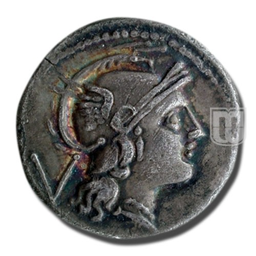 Quinarius | 211-210 BC | C.84.3,S.153 | O