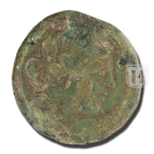 Semiunica | 217-215 BC | C.39.5,S.97 | O