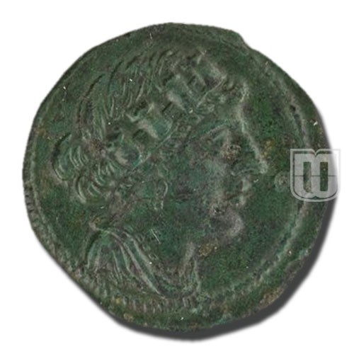 Semiunica | 217-215 BC | C.39.5,S.97 | O
