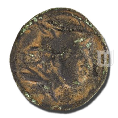 Semiunica | 211 BC | C.56.8,S.143f | O