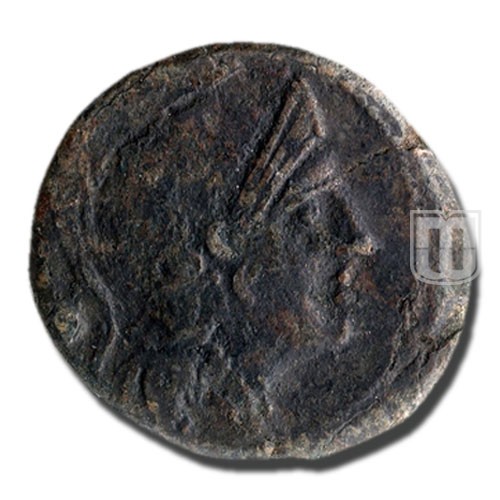 Semiunica | 217-215BC | C.38.7,S.87 | O