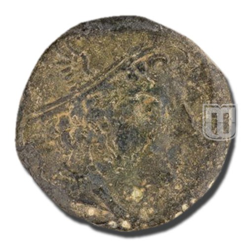 Semiunica | 217-215BC | C.38.7,S.87 | O