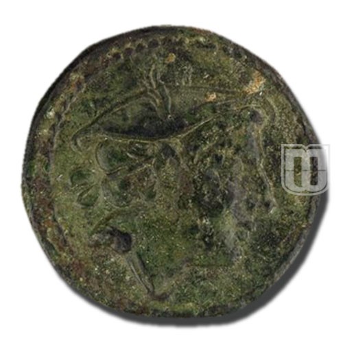 Semiunica | 217-215BC | C.38.7,S.87 | O