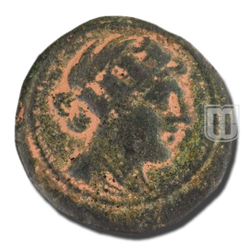 Semiunica | 217-215BC | C.39.5,S.97 | O