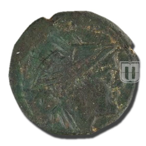 Semiunica | 217-215BC | C.38.7,S.87 | O