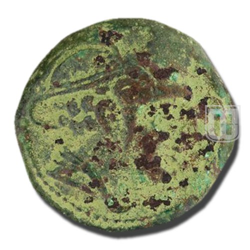 Semiunica | 217-215BC | C.38.7,S.87 | O