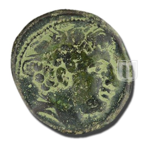 Semiunica | 217-215BC | C.38.7,S.87 | O