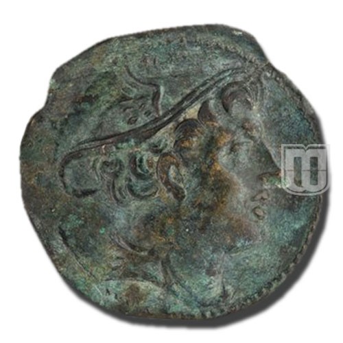 Semiunica | 217-215BC | C.38.7,S.87 | O