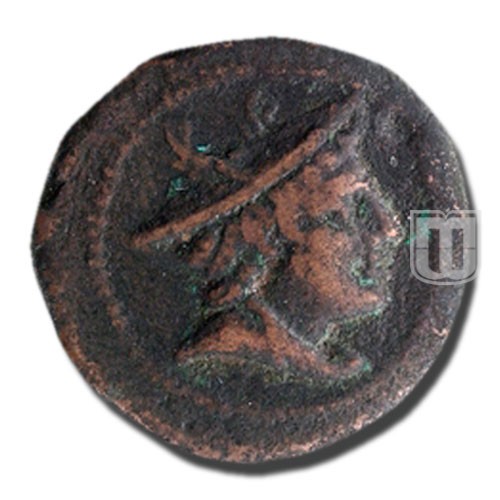 Semiunica | 217-215BC | C.38.7,S.87 | O