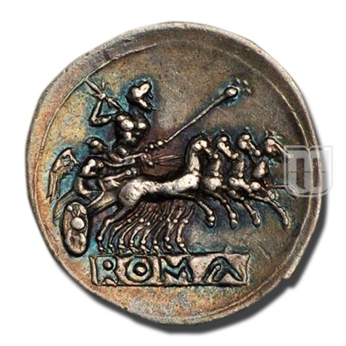 Didrachm | 225-212 |  | R