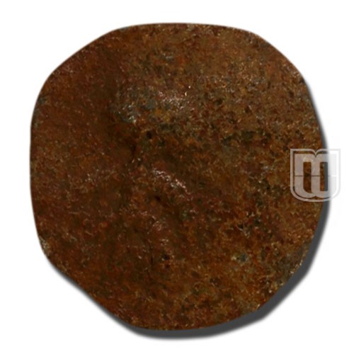 Lead Unit | ND | Krishnamurthy 8 | R