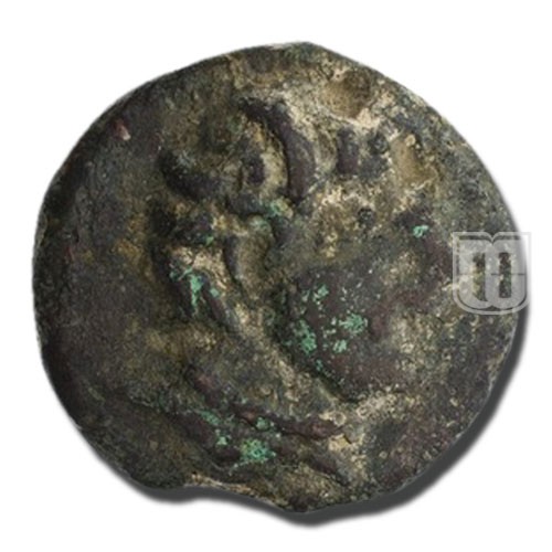 Teraunica | 300 BC | AG.204 | O