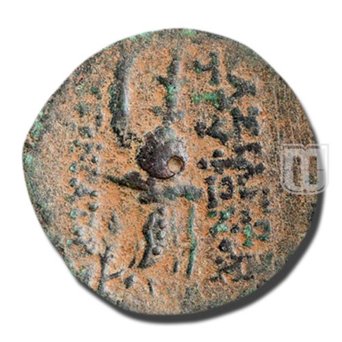 Uncertain |  | BMC.13 | R