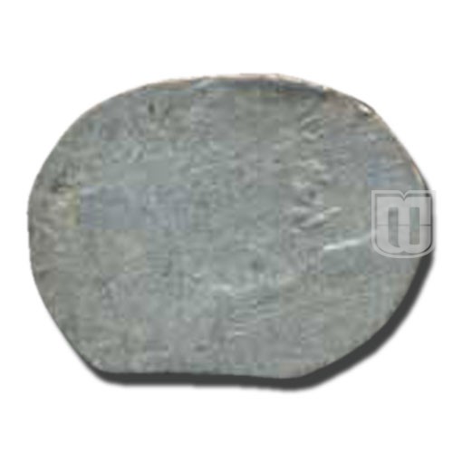 1/2 Karshapana |  | Rajgor Series 21 | R