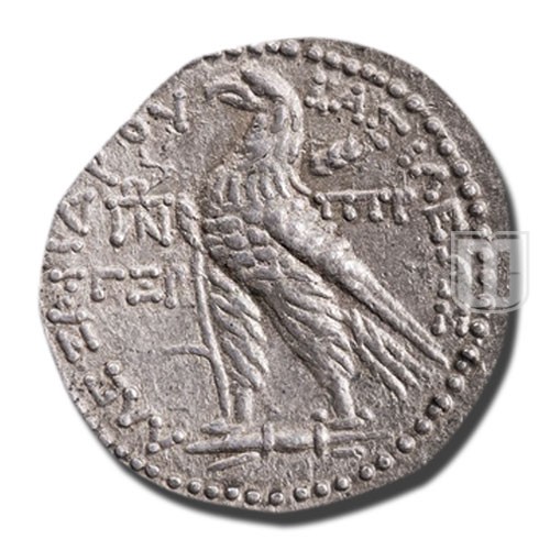 Tetradrachm |  | CSE.797 | R