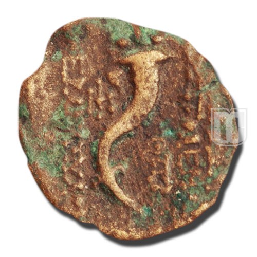 Tetradrachm |  | CSE.810 | R