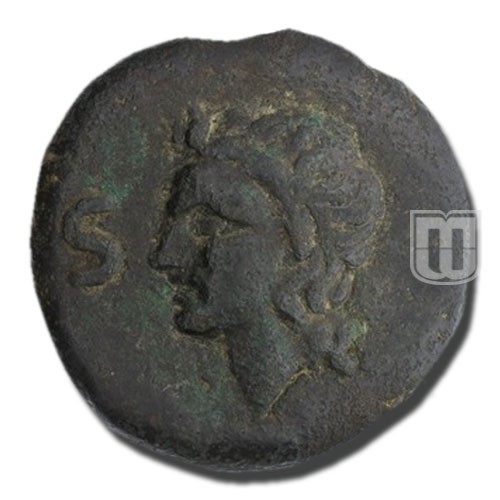 Semis | 275-251B | C.19.2,T.3 | O