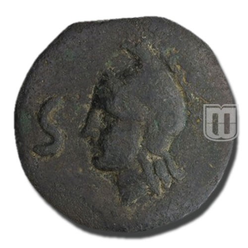 Semis | 275-251B | C.19.2,T.3 | R