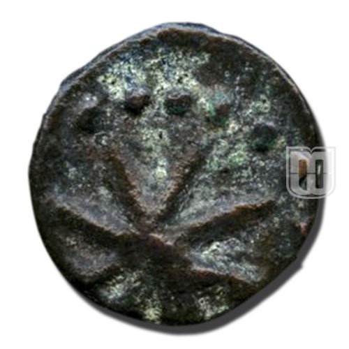 Cash | 1737 | KM 302 | R