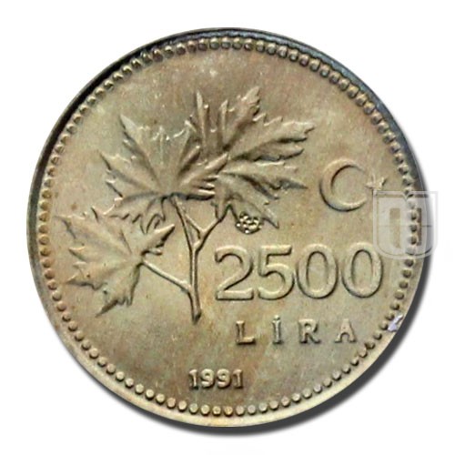 2500 Lira | 1991 | KM 1015 | R