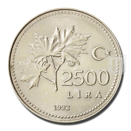 2500 Lira | 1993 | KM 1015 | R