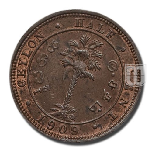 Half Cent | 1909 | KM 101 | R