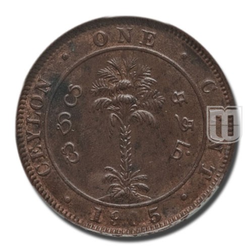 Cent | 1905 | KM 102 | R