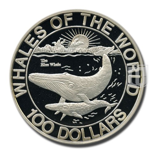 100 Dollars | 1993 | KM 163 | R
