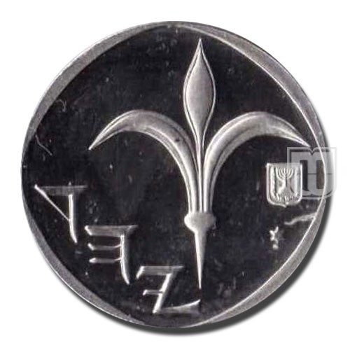 New Sheqel | JE5766 (2006) | KM 163b | R