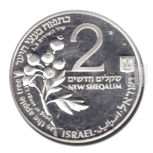 2 New Sheqalim | JE5754-1993 | KM 245 | O