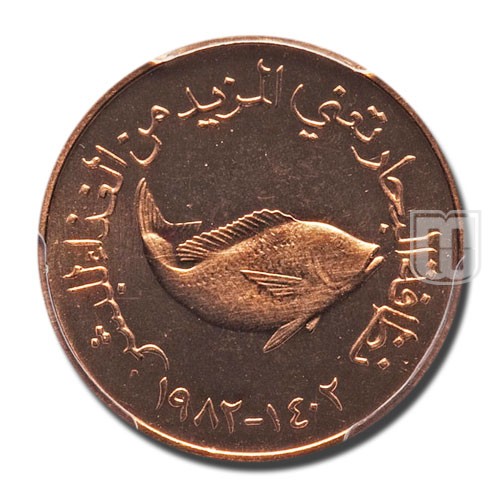 5 Fils | AH1402- 1982 | KM 2.1 | R