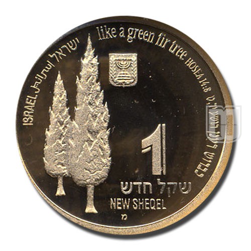 New Sheqel | JE5759-1998 | KM 321 | O
