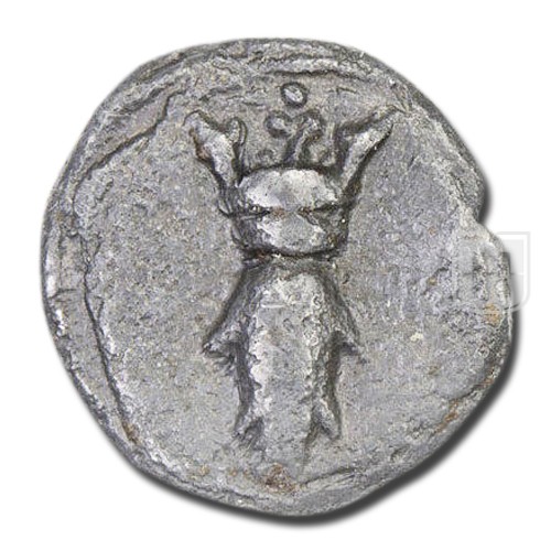 Cash |  | KM 66 | R