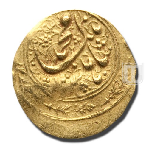 Toman | AH1260 | KM 809.2 | O