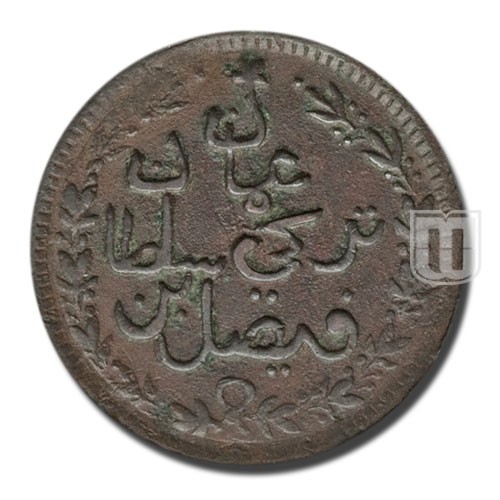 Quarter Anna | AH1312 | KM 8.2 | R