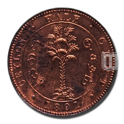 Half Cent | 1891 | KM 91 | R