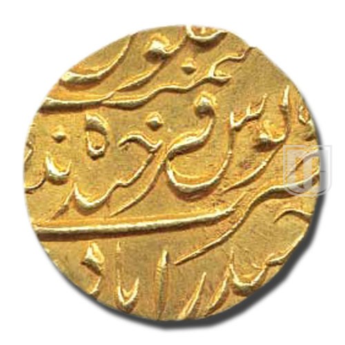 Ashrafi | 1310 | Y22 | R