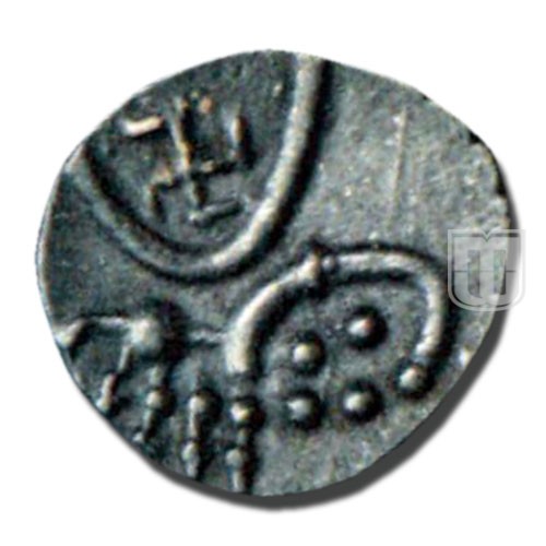 Half Tara |  | Mitch 410 | R