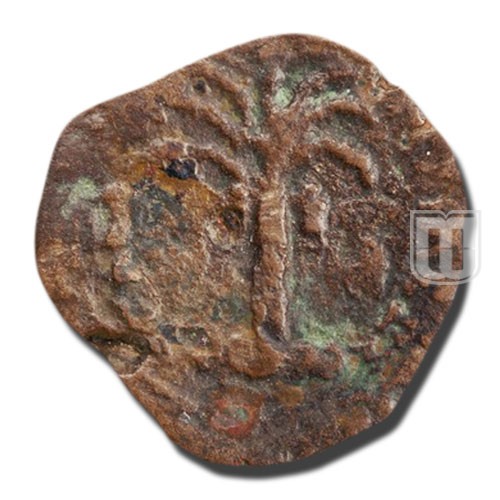 Unknown |  | N.28 | R