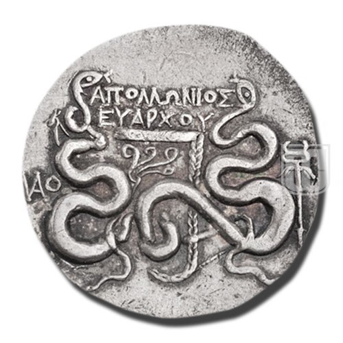 Cistophorus |  |  | O