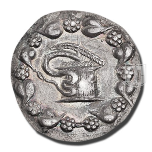 Cistophorus |  |  | R