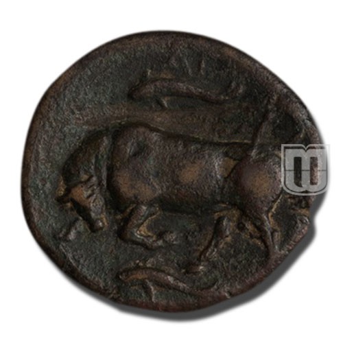 2 Litra |  | SNG ANS 565 | R