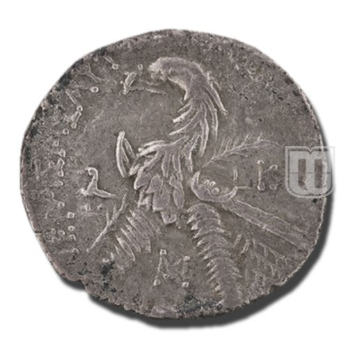Tetradrachm |  | SNGANS.6.648 | R