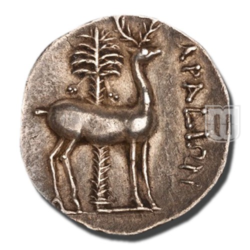 Drachm |  |  | R