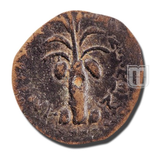 Denomination D (half) |  | WSM.1259, SC.1081, SC.1081 | R