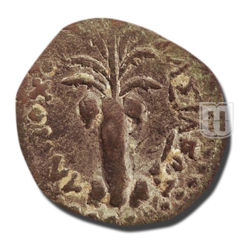 Denomination D (half) |  | WSM.1279, HGC9.563, SC.1081 | R