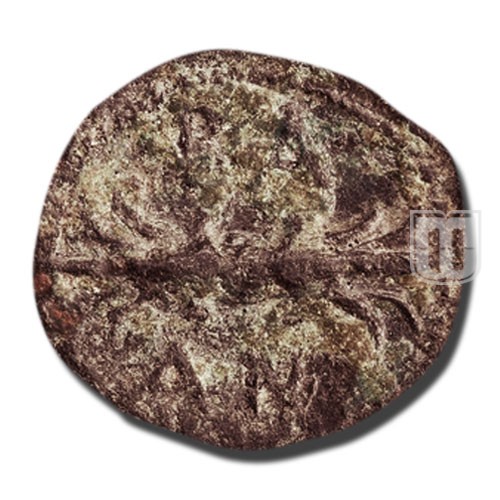 Denomination D (half) |  | HGC9.198, SC.556, WSM.906 | R
