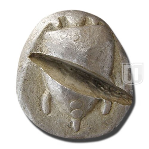 Stater | | Asyut.not | O