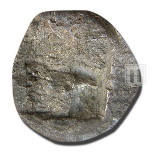 Stater |  | Asyut.not | R