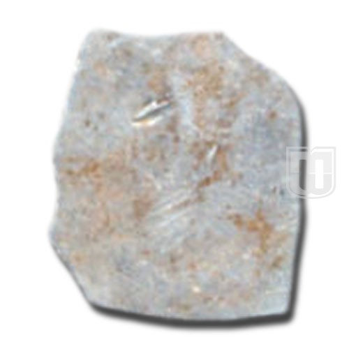 1/2 Karshapana |  |  | R